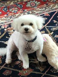 Image result for KYN 2ch