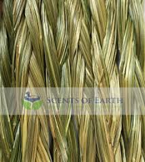 Attēlu rezultāti vaicājumam “Hierochloe odorata”