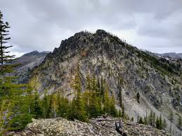 Image result for Dearne Valley Devils