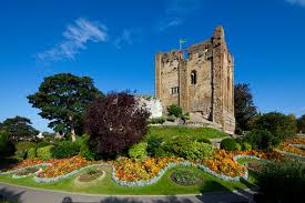 Image result for Savate Uk (Guildford)