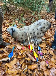 Image result for Cloth Of Gold Field Archery Club