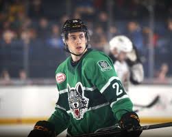 Image result for Streatham Night Wolves Ice Hockey Team