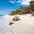 Discover Cabbage Key/Cayo Costa - Coastal Living