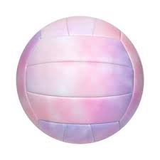 Image result for Spalding Saracens Volleyball Club
