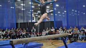 Image result for Hull High Flyers Gymnastics Club