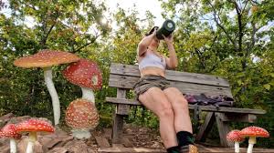 Attēlu rezultāti vaicājumam “Neocudoniella albiceps”