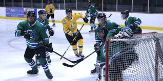 Image result for Perth Junior Ice Hockey Club