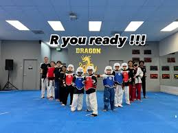 Image result for Dragon Martial Arts Association