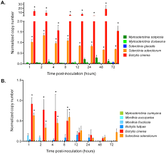 Attēlu rezultāti vaicājumam “Myriosclerotinia scirpicola”
