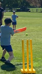 Image result for Worfield Cricket Club