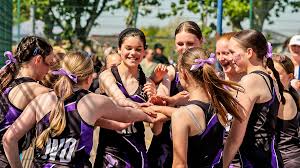 Image result for Goole Ladies Netball Club