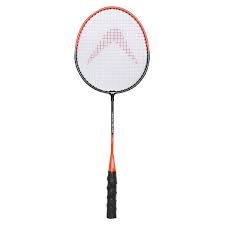 Image result for Raycham Youth Junior Badminton Club