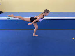 Image result for Arabian School Of Gymnastics