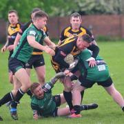 Image result for Askam Amateur Rugby League Club