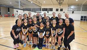 Image result for Onslow Pink Panthers Junior Netball Club