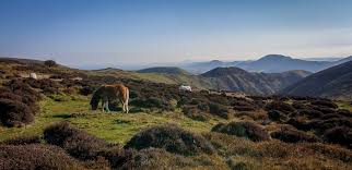 Image result for Long Mynd