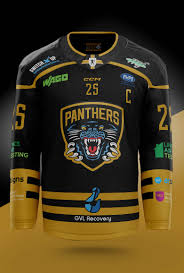 Image result for Nottingham Panthers
