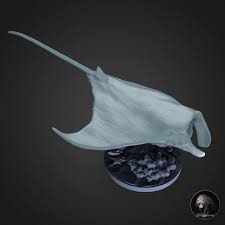 Image result for Mobula alfredi