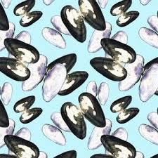 Attēlu rezultāti vaicājumam “Unio crassus”