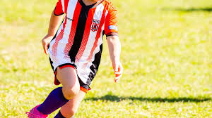 Image result for Frensham Football Club