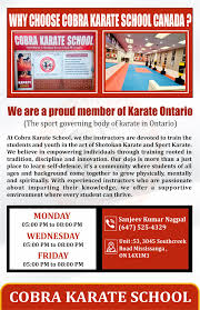 Image result for Cobra Karate Club