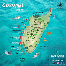 Resultado de imagen para cozumel dive