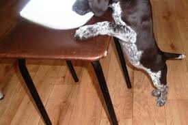 Image result for site:buyreklama.ru/*