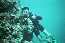 Image result for TAL Divers