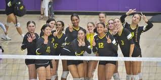 Image result for Newbury Volleyball Club