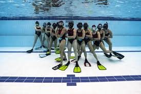 Image result for TAROT Octopush Club