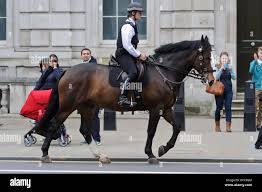 Image result for British Police Archers