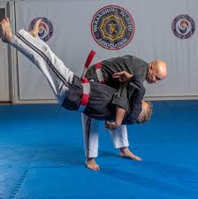 Image result for Norfolk Jikishin Ju Jitsu Club