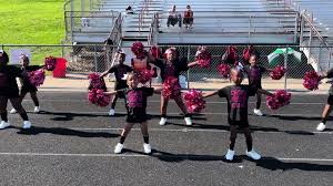 Image result for Hartlepool Hawks Cheerleading Academy