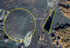 Attēlu rezultāti vaicājumam “Juncus nastanthus”