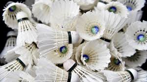 Image result for West Tytherley Badminton Club