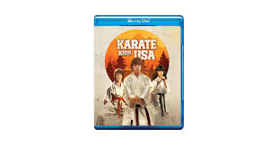 Image result for America's Best Karate Chandler