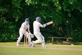 Image result for Pulborough Cricket Club