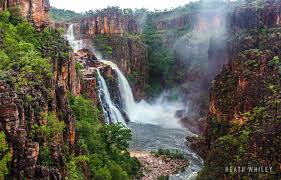Billedresultat for kakadu n...