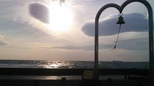 ネタ枯れ에 대한 이미지 검색결과