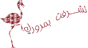 كلمة الحـــق Images?q=tbn:ANd9GcQ-nTIY0QWnEzQNRYp3SSSxEe0Y6xr6bICi2lru-ocvrHM8nqiZ