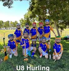 Image result for Ballerin Gaelic Athletic Club