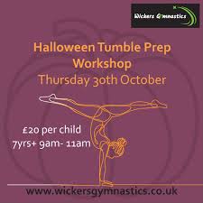 Image result for Wickers Gymnastics Club