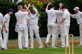 Image result for Abbots Langley Cricket Club