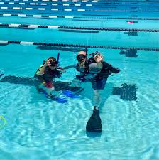 Image result for Discover Swimming
