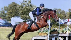Image result for Beechwood Riding School