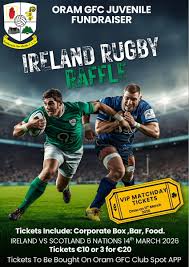 Image result for Sarsfield Gfc