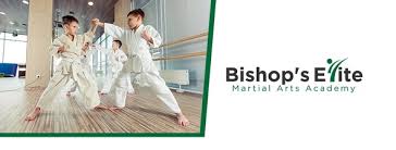 Image result for Elite Martial Arts Academy