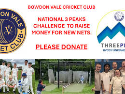 Image result for Vale Cricket Club
