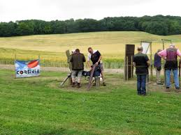 Image result for Newdigate Clays