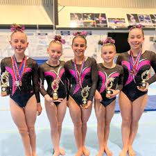 Image result for Diamonds Gymnastics Club